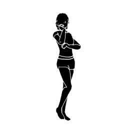 Fashion VIP Animation Set