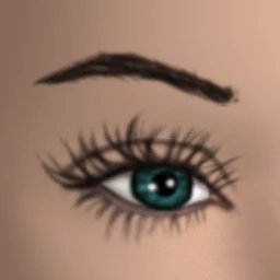 Shaped Eyebrows