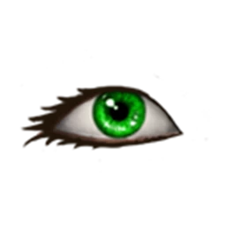 Elegant Eyes