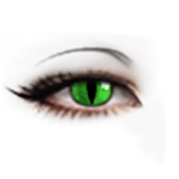 Cosmos Cat Eyes