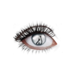Black Rainbow Visitation Eyes