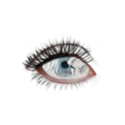 Black Rainbow Eternity Eyes