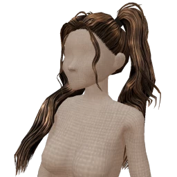 The Shawri