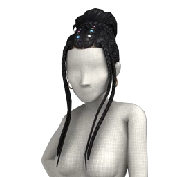The Anisha