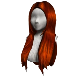The Donna