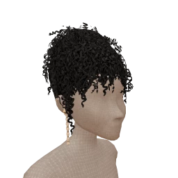 The Zephyra