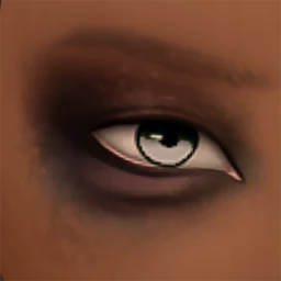 Flawless Deep Shadow Eyes