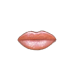 Flawless Rose Gold Lips