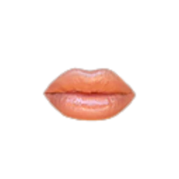 Flawless Obsession Lips