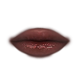 Flawless Maroon Mystique Lips