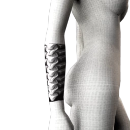 X-Ray Sleeve Tattoo