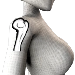 Shoulder Bone Tattoo