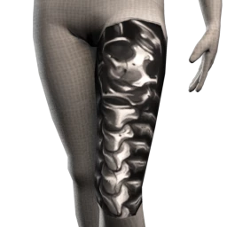 X-Ray Leg Tattoo
