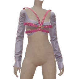 Nova Aurora Crop Top
