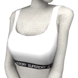 Superdry Modern Label Crop Top