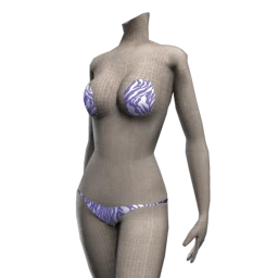 Ikon Modesty Underwear