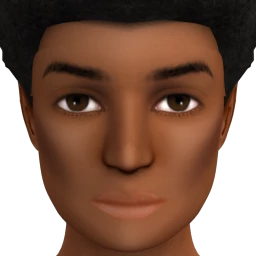 Flawless Impression Contour - Dark
