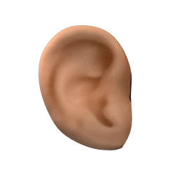 Round Ears