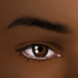 Solid Eyebrows