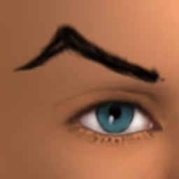 Shaped Eyebrows