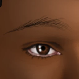 Black Rainbow Bristled Eyebrows
