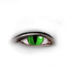 Cosmos Cat Eyes
