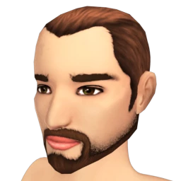 Chinstrap Beard