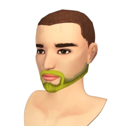 The Summer Beard