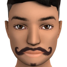 Flawless Dashing Rogue Moustache with Beard