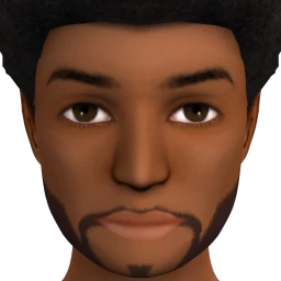 Flawless Smooth Design Beard