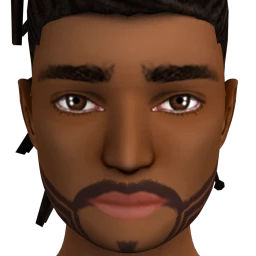 Flawless Geometric Edge Beard