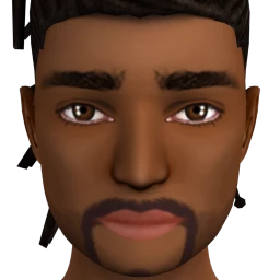 Flawless Subtle Goatee Beard