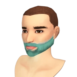 The Frozen Beard