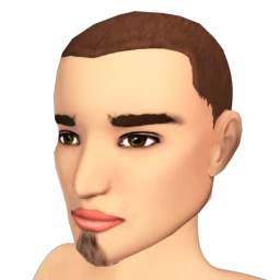 The Soul Patch