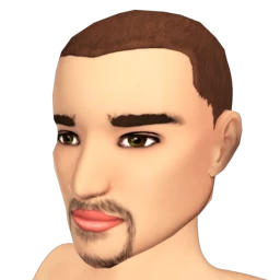 The Classic Goatee