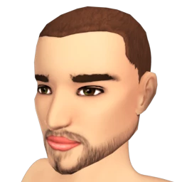 The Designer Stubble