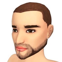 The Layered Beard