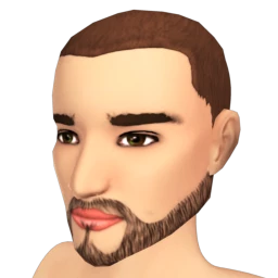 The Textured Beard