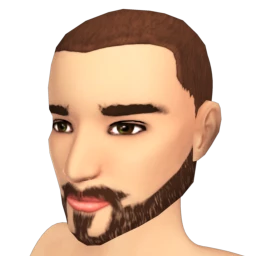 The Extended Goatee