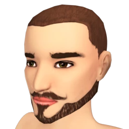 The Modern Beard