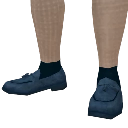 Cloud Nine Blue Loafers With Socks