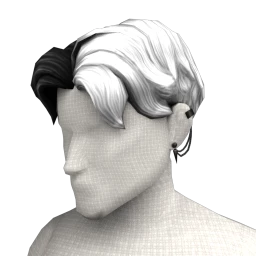 The Hans