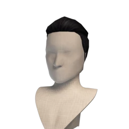 The Ryan - Black