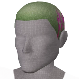The Aleph