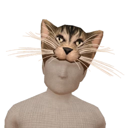 The Tabby