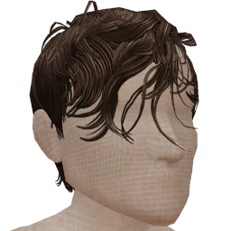 The Wet