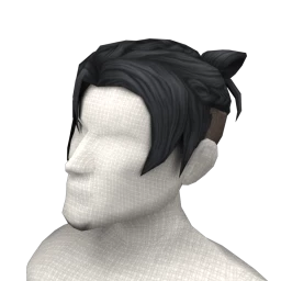 The Aito