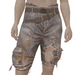 USAesthetics Ripped Rider Shorts