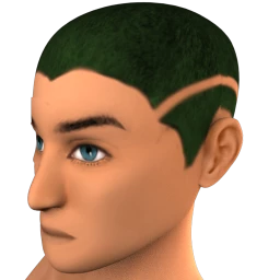 The Diarmuid