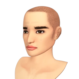 The Buzz Cut